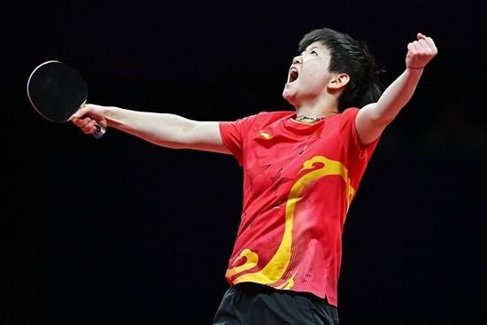 乒乓球比赛中国选手勇夺金牌