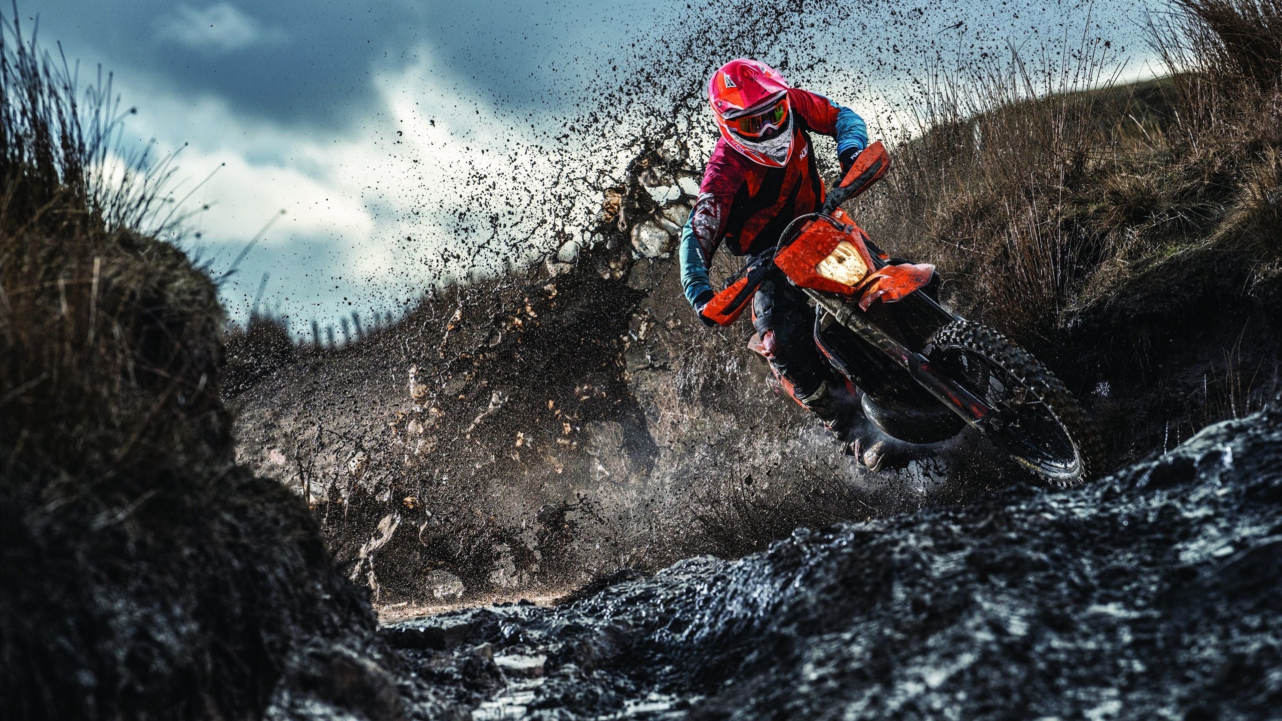 如果奇迹有名字,当上海队掀翻76人,范弗利特在欧冠决赛按下接管键